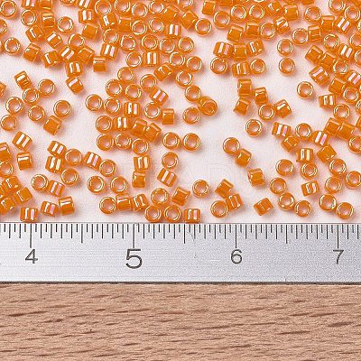 MIYUKI Delica Beads SEED-X0054-DB1573-1