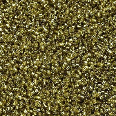 MIYUKI Delica Beads SEED-MY11-DB2164-1