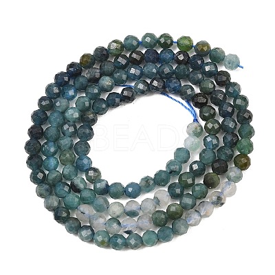 Natural Blue Tourmaline Beads Strands G-G294-A02-3mm-01-1