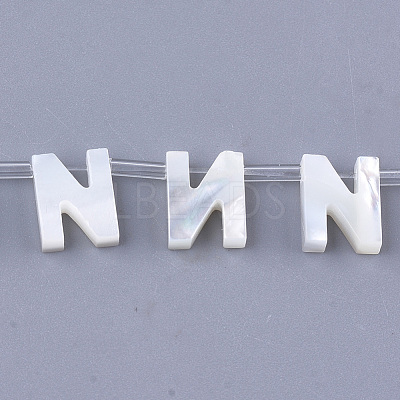Sea Shell Beads X-SHEL-T012-60N-1