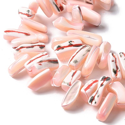 Dyed Natural Trochus Shell Beads Strands SSHEL-C013-09L-1