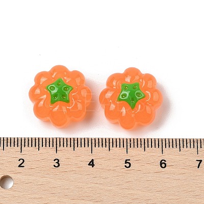 Resin Cabochons RESI-S012-03B-1