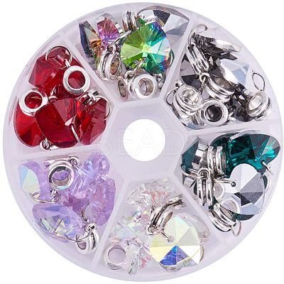 Alloy European Dangle Charms PALLOY-PH0012-38-1
