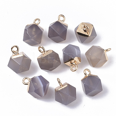 Natural Grey Agate Charms G-S359-015D-1
