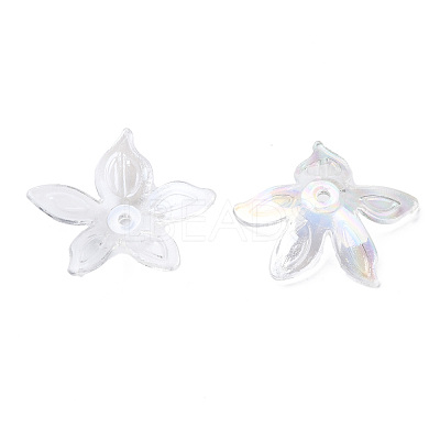 Transparent Acrylic Beads MACR-S373-102-C07-1