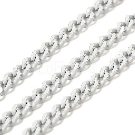 Spray Painted 304 Stainless Steel Curb Chains STAS-B067-05B-09-1
