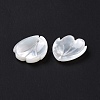 Natural White Shell Charms SSHEL-C011-07A-4