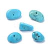 Natural Magnesite Beads Strands TURQ-P001-02A-02-4