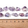 Electroplate Raw Rough Natural Amethyst Beads Strands G-Q610-06F-5