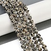 Natural Dalmatian Jasper Beads Strands G-A257-A17-01-2