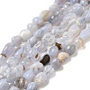 Natural Blue Lace Agate Beads Strands G-L608-A02-01B-2