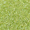 MIYUKI Delica Beads SEED-X0054-DB0174-3