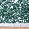 MIYUKI Round Rocailles Beads SEED-G007-RR0338-4