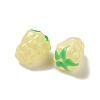 Handmade Lampwork Beads Strands LAMP-G162-05D-3