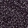 Glass Bugle Beads SEED-S032-08A-41A-3