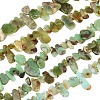 Natural Chrysoprase Beads Strands GG-CBA3D9B-14B-1