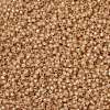 MIYUKI Round Rocailles Beads SEED-JP0009-RR0552-3
