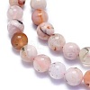 Natural Cherry Blossom Agate Beads Strands G-K310-C07-10mm-1