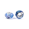 Transparent Glass European Beads GPDL-N004-D14mm-A13-2