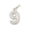 Number Series 925 Sterling Silver Charms STER-Q002-01J-1