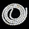 Natural Freshwater Shell Beads Strands BSHE-T009A-01A-3