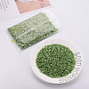 Plated Glass Bugle Beads SEED-S046-01B-49A-2