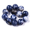 Natural Blue Spot Jasper Beads G-R483-08-8mm-1