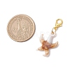 Shell & Starfish Acrylic Pendant Decorations HJEW-JM02771-3