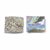 Natural Abalone Shell/Paua Shell Beads X-SSHEL-S258-10C-2