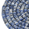 1 Strand Natural Sodalite Beads Strands G-PA0001-47-1