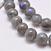 Natural Labradorite Beads Strands G-D864-11-6mm-2