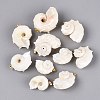 Iron & Natural Spiral Shell Pendants SHEL-Q029-15KCG-1