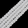 Transparent Glass Beads Strands EGLA-A034-T8mm-MD19-2