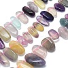 Natural Colorful Fluorite Beads Strands G-G106-J08-01-1