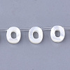 Natural Sea Shell Beads SHEL-T012-60O-1