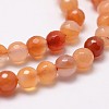 Natural Red Agate Beads Strands X-G-D840-34-6mm-3