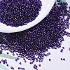 MIYUKI Delica Beads SEED-X0054-DB0609-1