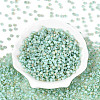 6/0 Glass Seed Beads SEED-N008-07D-2