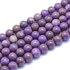 Natural Lepidolite/Purple Mica Stone Beads Strands G-L552H-09D-1
