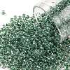 TOHO Round Seed Beads SEED-XTR08-1070-1