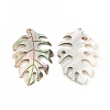 Natural Black Lip Shell Pendants SSHEL-T012-18-3