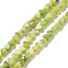 Natural Calcite Beads Strands G-G852-01F-1