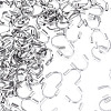 150Pcs 304 Surgical Stainless Steel Wire Guardian and Protectors STAS-TA0006-35A-P-3