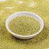 MIYUKI Round Rocailles Beads SEED-G009-RR0554-2