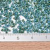 MIYUKI Delica Beads SEED-X0054-DB2381-4