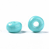 6/0 Glass Seed Beads SEED-S058-A-F437-5