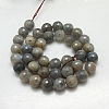 Natural Labradorite Beads Strands G-G213-6mm-03-2