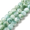 Natural Glass Beads Strands G-I247-32C-1