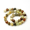 Natural Gemstone Beads Strands G-I007-10mm-01-2
