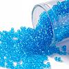TOHO Round Seed Beads X-SEED-TR11-0003B-1